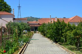 חווה בקרבת ליסבון  חוות קובנקו